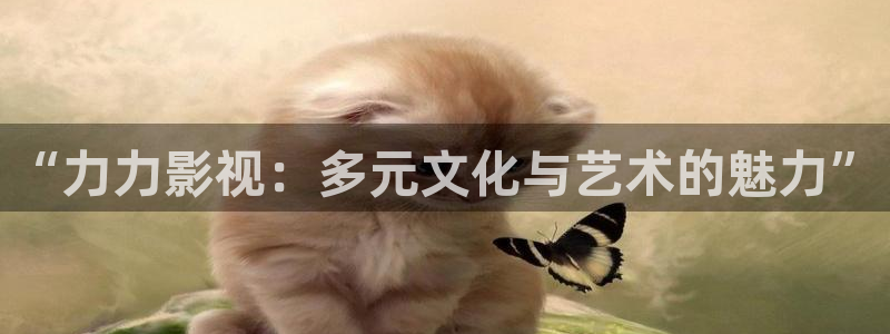 橘子视频官方下载：“力力影视：多元文化与艺术的魅力”