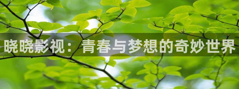 橘子了：晓晓影视：青春与梦想的奇妙世界