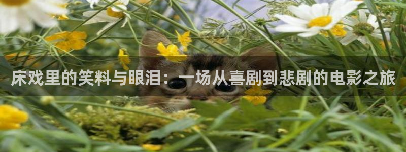 橘子视频免费看：床戏里的笑料与眼泪：一场从喜剧到悲剧的电影之旅
