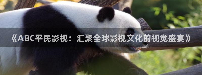 橘子影视网：《ABC平民影视：汇聚全球影视文化的视觉盛宴》